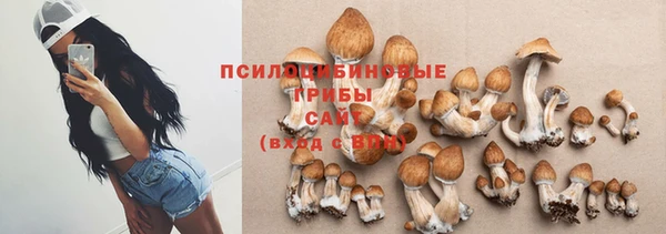 мескалин Алексин