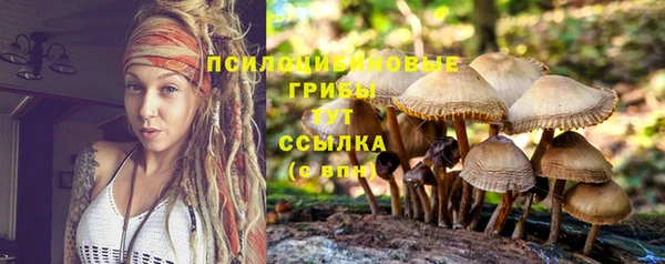 прущие крисы Абдулино